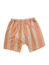 DECK STRIPE BIRK shorts