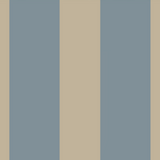 DECK STRIPE BIRK shorts